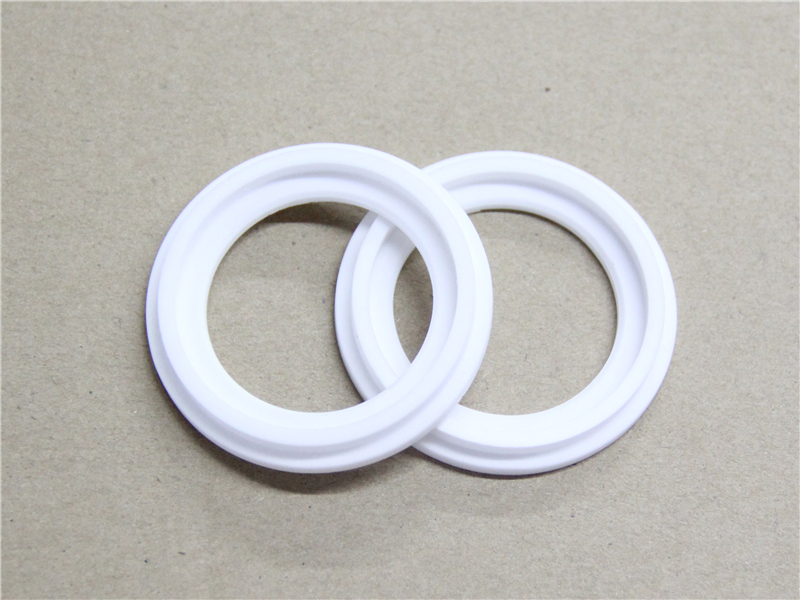 硬密封件，陶瓷密封件，產(chǎn)品